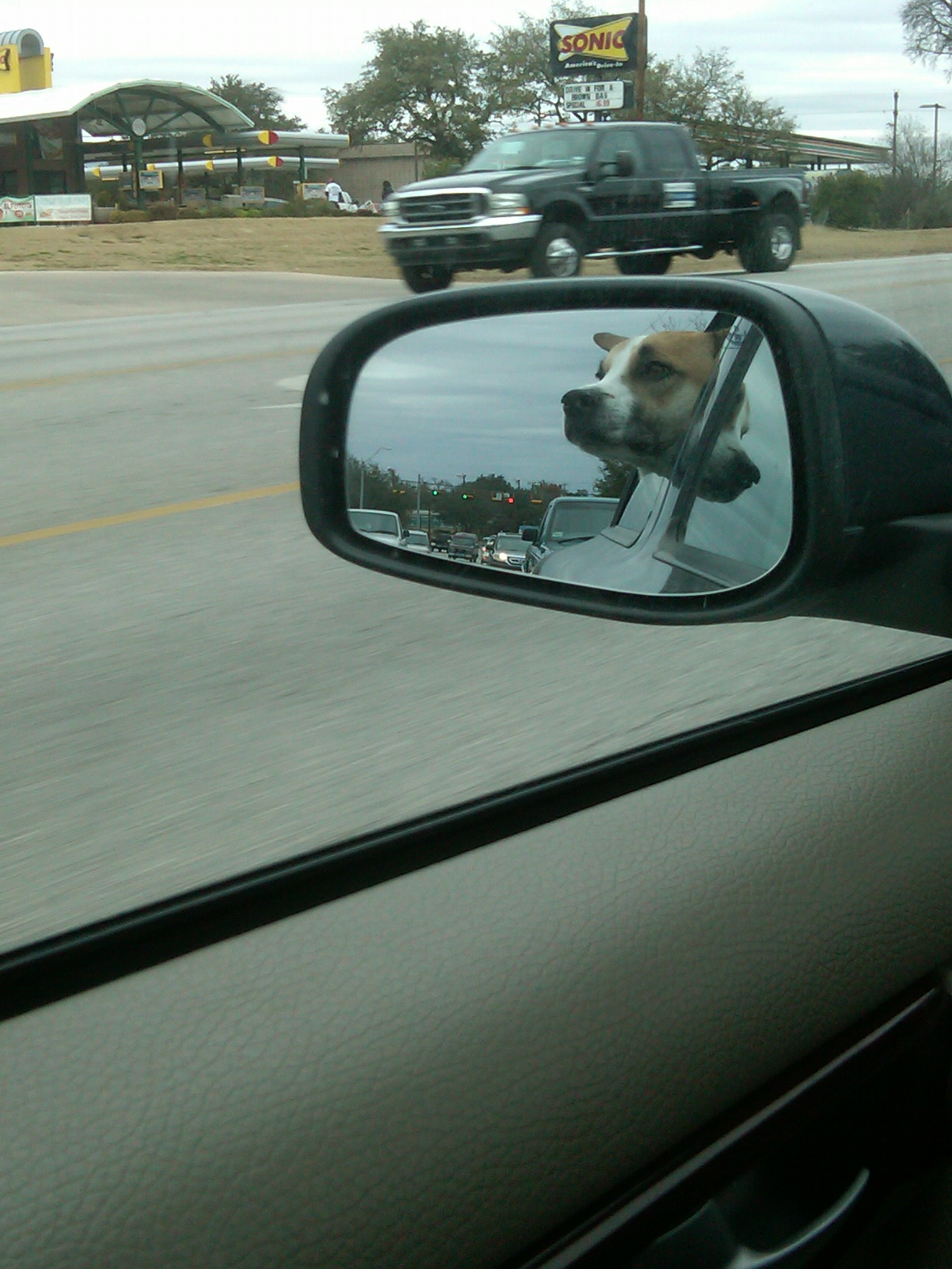 IMG00016-20110103-1419